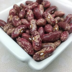 Migliorucci Bush Bean Heirloom Seeds. Grown in Sudbury, Ontario, Canada. Organically Grown. Heritage Hobby Seed Ark.