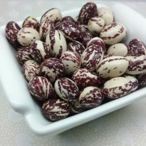 Good Mother Stallard Pole Bean Heirloom Seeds. Grown in Sudbury, Ontario, Canada. Organically Grown. Heritage Hobby Seed Ark.