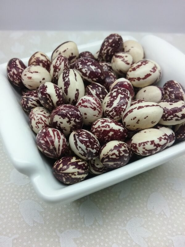 Good Mother Stallard Pole Bean Heirloom Seeds. Grown in Sudbury, Ontario, Canada. Organically Grown. Heritage Hobby Seed Ark.