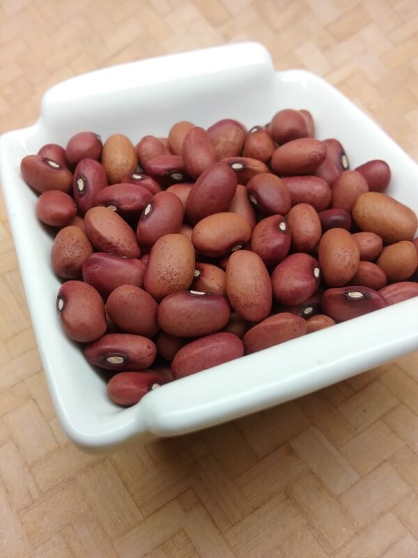 Red Peanut Bush Bean Heirloom Seeds Grown in Sudbury, Ontario, Canada. Grown Organically. Heritage Hobby Seed Ark.