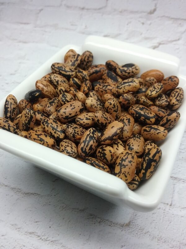 Refugee Bean Heirloom Seeds Grown in Sudbury, Ontario, Canada. Grown Organically. Heritage Hobby Seed Ark.