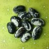 Chester Pole Bean Heirloom Seeds. Grown in Sudbury, Ontario, Canada. Organically Grown. Heritage Hobby Seed Ark.