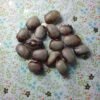 Amish Gnuttle Heirloom Semi-Runner Bean Seeds. Grown in Sudbury, Ontario, Canada. Organically grown. Heritage Harvest Seed Ark.