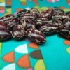 Berta Telaska Heirloom Pole Bean Seeds. Grown in Sudbury, Ontario Canada. Organically grown. Heritage Hobby Seed Ark.