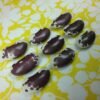 1500-Year Cave Bean Heirloom Seeds. Organically Grown in Sudbury, Ontario Canada. Heritage Hobby Seed Ark