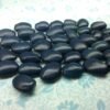 Blue Sea Barb Pole Bean Heirloom Seeds. Grown in Sudbury, Ontario, Canada. Organically Grown. Heritage Hobby Seed Ark.