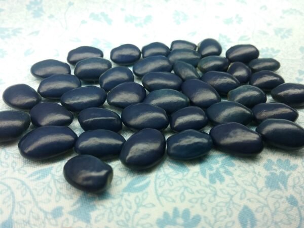 Blue Sea Barb Pole Bean Heirloom Seeds. Grown in Sudbury, Ontario, Canada. Organically Grown. Heritage Hobby Seed Ark.