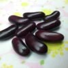 Climbing French Semi-Runner Bean Heirloom Seeds. Grown in Sudbury, Ontario, Canada. Organically Grown. Heritage Hobby Seed Ark.