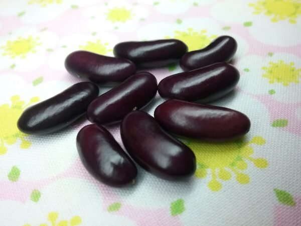 Climbing French Semi-Runner Bean Heirloom Seeds. Grown in Sudbury, Ontario, Canada. Organically Grown. Heritage Hobby Seed Ark.