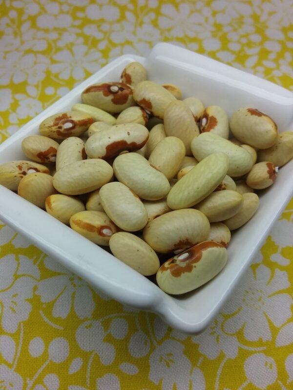 Alice Sunshine Heirloom Bean Seeds. Heritage Hobby Seed Ark. Sudbury, Ontario, Canada.