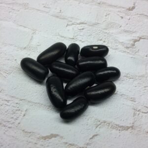 Black Valentine Bush Bean Heirloom Seeds. Grown in Sudbury, Ontario, Canada. Organically Grown. Heritage Hobby Seed Ark.