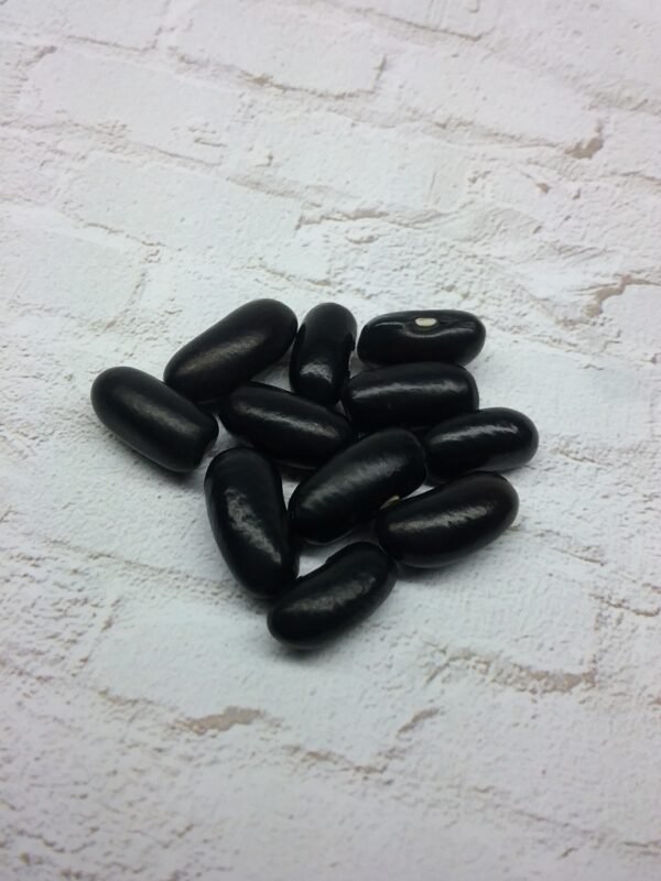 Black Valentine Bush Bean Heirloom Seeds. Grown in Sudbury, Ontario, Canada. Organically Grown. Heritage Hobby Seed Ark.