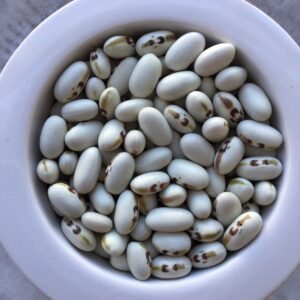 Angel Eye Heirloom Bush Bean Seeds. Grown in Sudbury, Ontario, Canada. Organically grown. Heritage Harvest Seed Ark.