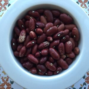 Baccicia Heirloom Bush Bean Seeds. Grown in Sudbury, Ontario, Canada. Organically grown. Heritage Hobby Seed Ark.