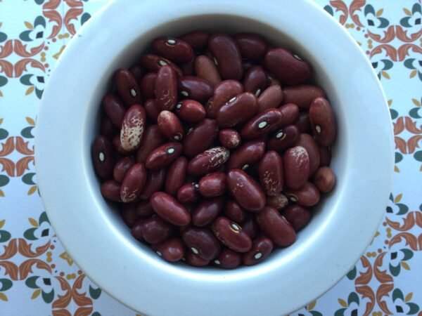 Baccicia Heirloom Bush Bean Seeds. Grown in Sudbury, Ontario, Canada. Organically grown. Heritage Hobby Seed Ark.