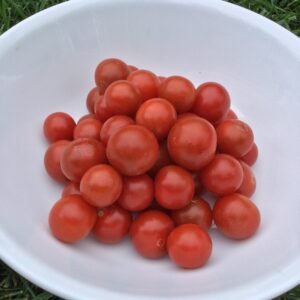 Tomato Seeds - Red And Pink Cherry & Grapes