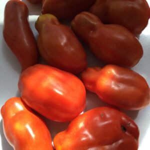 Tomato Seeds - Sauce Varieties