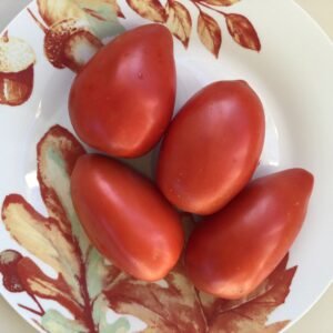 Tomato Seeds - Oxhearts