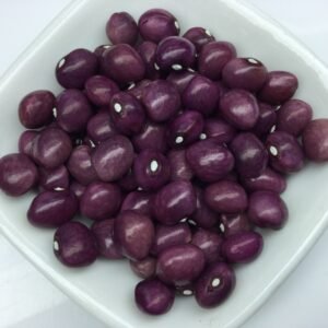 Grandmere Pole Bean Heirloom Seeds. Grown in Sudbury, Ontario, Canada. Organically Grown. Heritage Hobby Seed Ark.