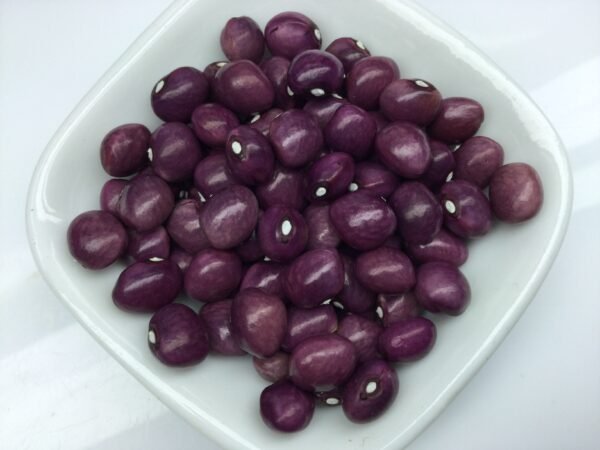 Grandmere Pole Bean Heirloom Seeds. Grown in Sudbury, Ontario, Canada. Organically Grown. Heritage Hobby Seed Ark.