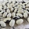 Lastochka Bush Bean Heirloom Seeds. Grown in Sudbury, Ontario, Canada. Organically Grown. Heritage Hobby Seed Ark.