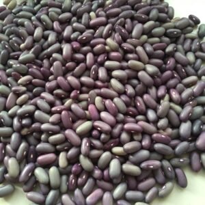 Kitoba Pole Bean Heirloom Seeds. Grown in Sudbury, Ontario, Canada. Organically Grown. Heritage Hobby Seed Ark.