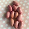 Lazy Red Wife Pole Bean Heirloom Seeds. Grown in Sudbury, Ontario, Canada. Organically Grown. Heritage Hobby Seed Ark.