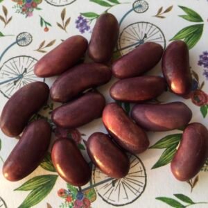 Hawkesbury Wonder Bush Bean Heirloom Seeds. Grown in Sudbury, Ontario, Canada. Organically Grown. Heritage Hobby Seed Ark.