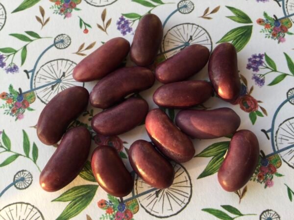 Hawkesbury Wonder Bush Bean Heirloom Seeds. Grown in Sudbury, Ontario, Canada. Organically Grown. Heritage Hobby Seed Ark.