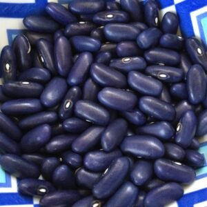 Sacré Bleu Pole Bean Heirloom Seeds Grown in Sudbury, Ontario, Canada. Grown Organically. Heritage Hobby Seed Ark.