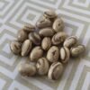 Garden of Eden Pole Bean Heirloom Seeds. Grown in Sudbury, Ontario, Canada. Organically Grown. Heritage Hobby Seed Ark.