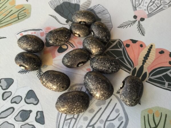 Gray Mountain Pole Bean Heirloom Seeds Grown in Sudbury, Ontario, Canada. Grown Organically. Heritage Hobby Seed Ark.