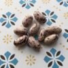 Weinanderin La Vigneronne Pole Bean Heirloom Seeds Grown in Sudbury, Ontario, Canada. Grown Organically. Heritage Hobby Seed Ark.