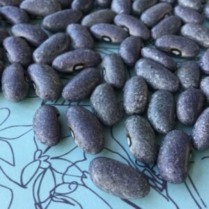 Cyrus Gray Bush Bean Heirloom Seeds. Grown in Sudbury, Ontario, Canada. Organically Grown. Heritage Hobby Seed Ark.