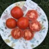 Apple Tree Leaf Tomato Seeds