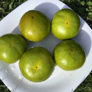 Irish Liquor Tomato Seeds