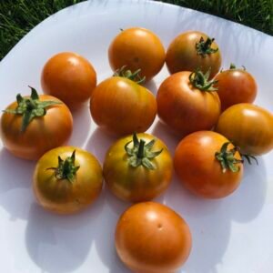 Soul Patch Tomato Seeds