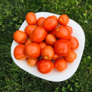 Geyzer Tomato Seeds