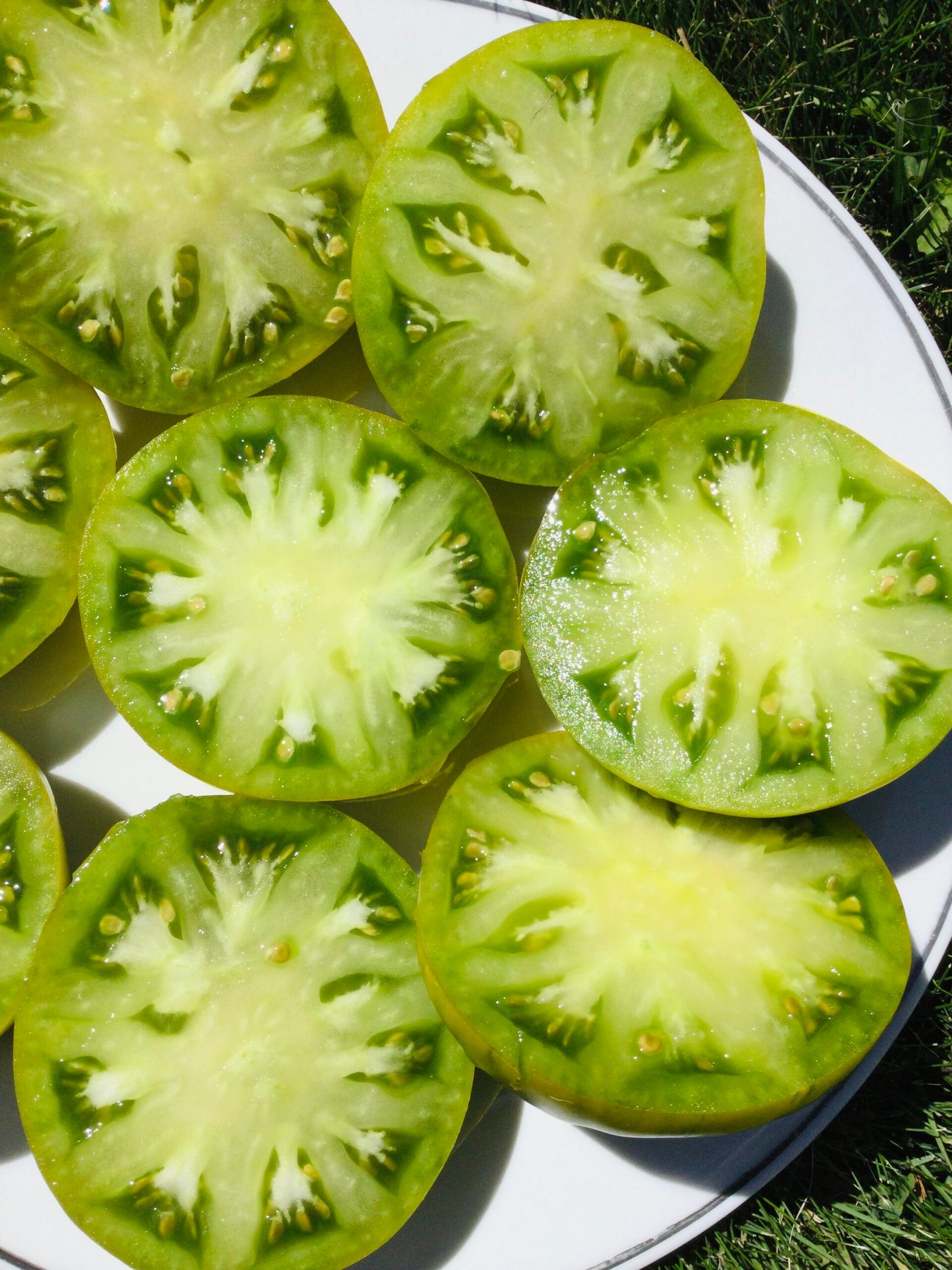 Irish Liquor Tomato Seeds - Image 3