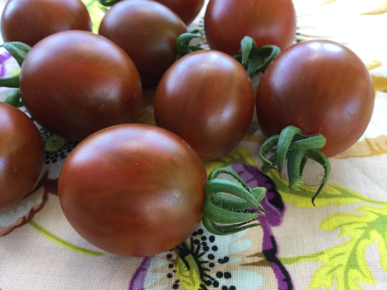 Mini Kumato Tomato Seeds - Image 3