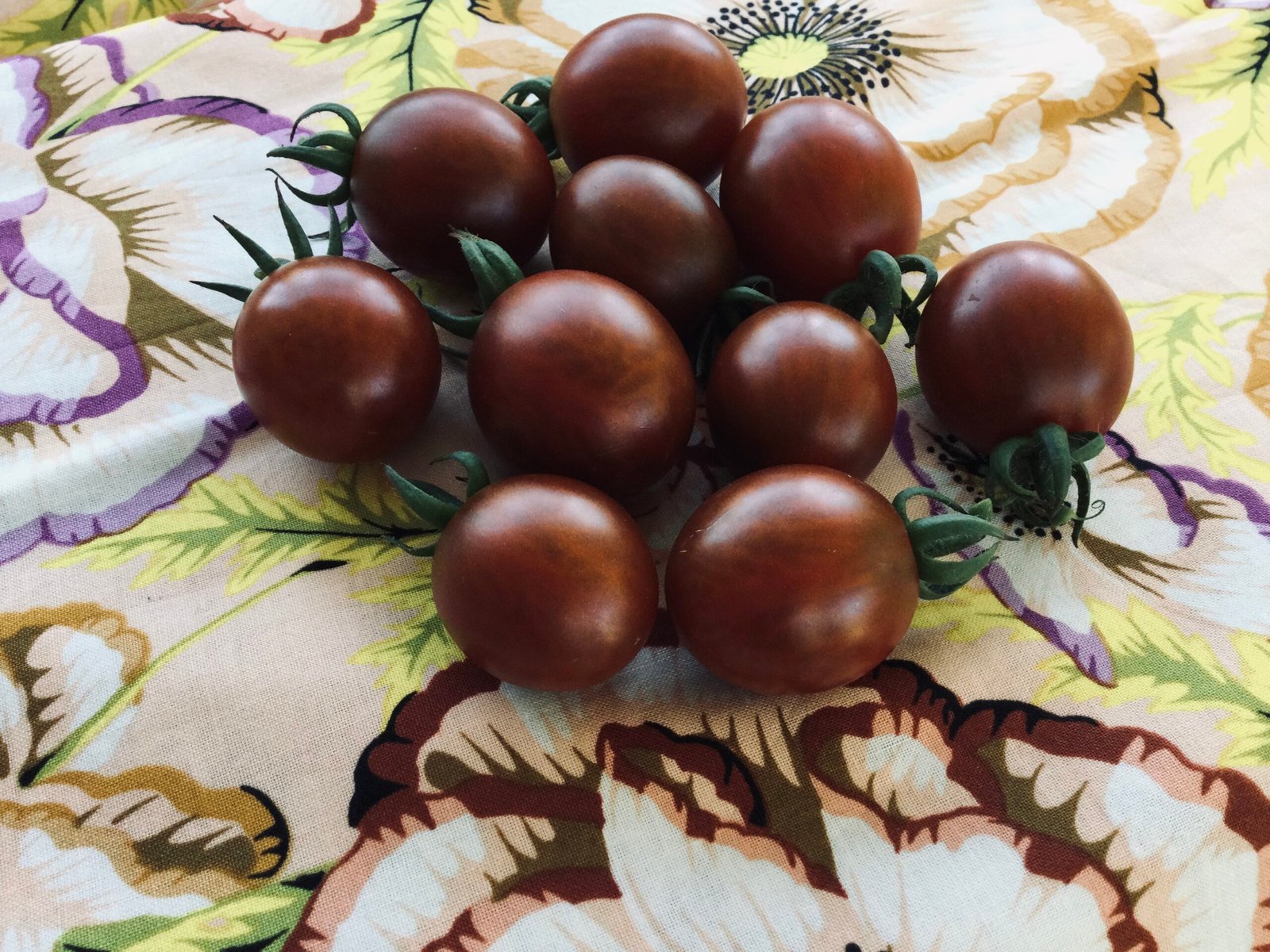 Mini Kumato Tomato Seeds