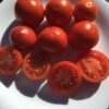 Alaskan Fancy Tomato Seeds