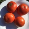 Yaryk Tomato Seeds