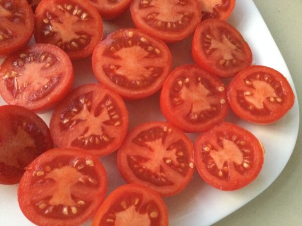 Alaskan Fancy Tomato Seeds