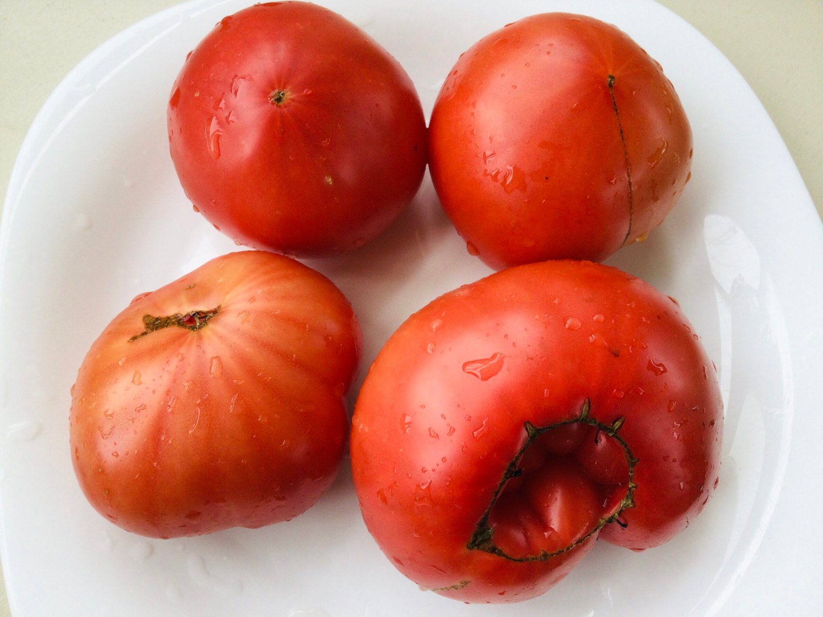 Katya Tomato Seeds - Image 2