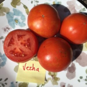 Vezha Tomato Seeds