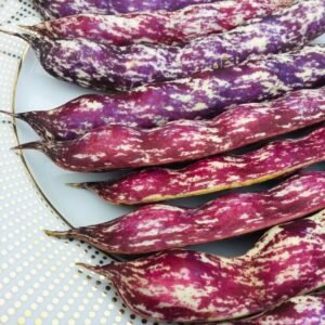 Brutte e Buon Pole Bean Seeds