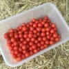 Sweet Apperitif Cherry Tomato Seeds