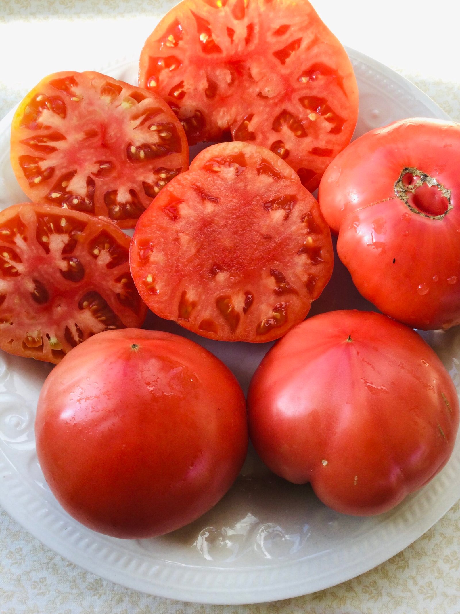 Katya Tomato Seeds - Image 4