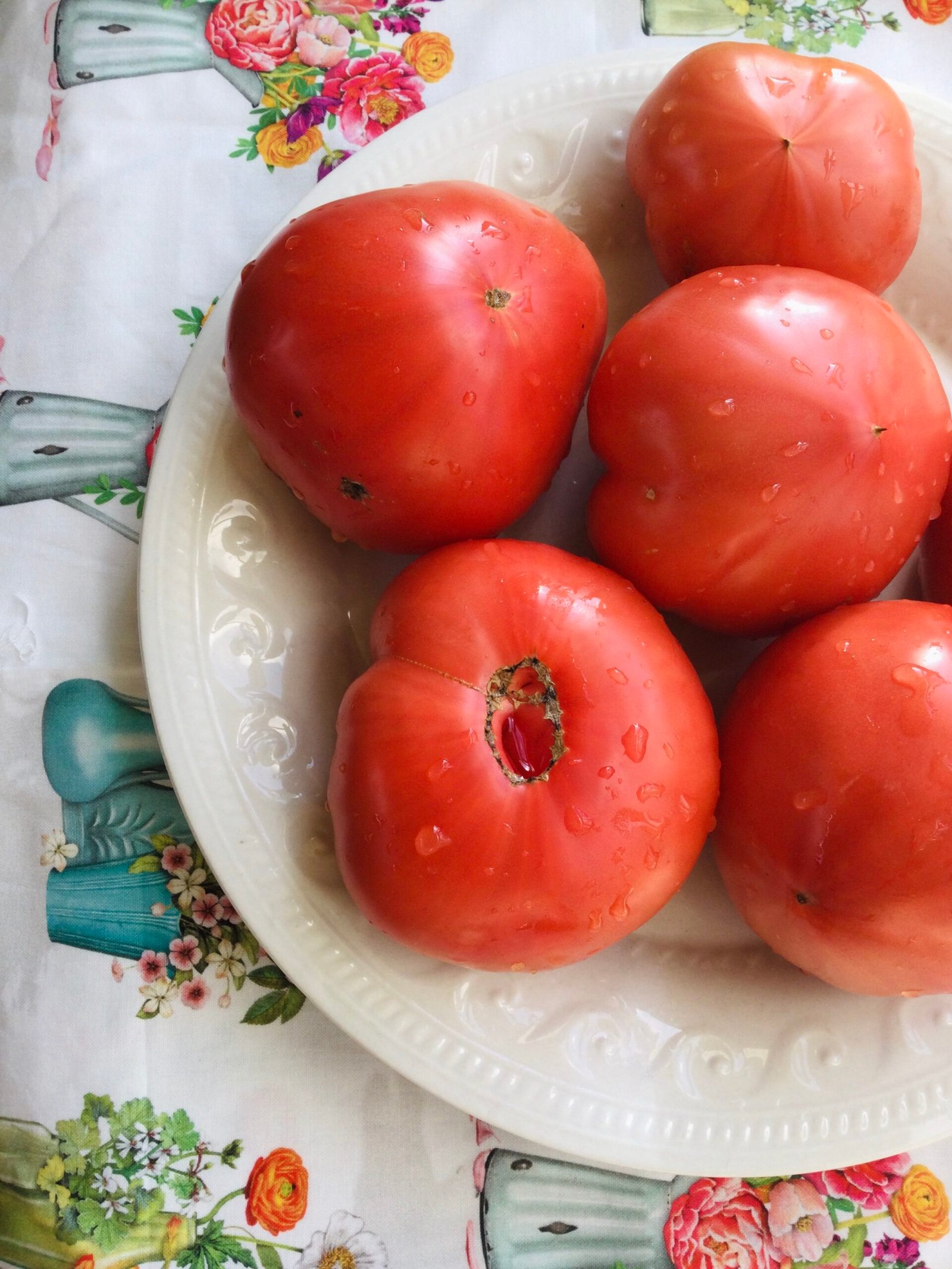 Katya Tomato Seeds - Image 5